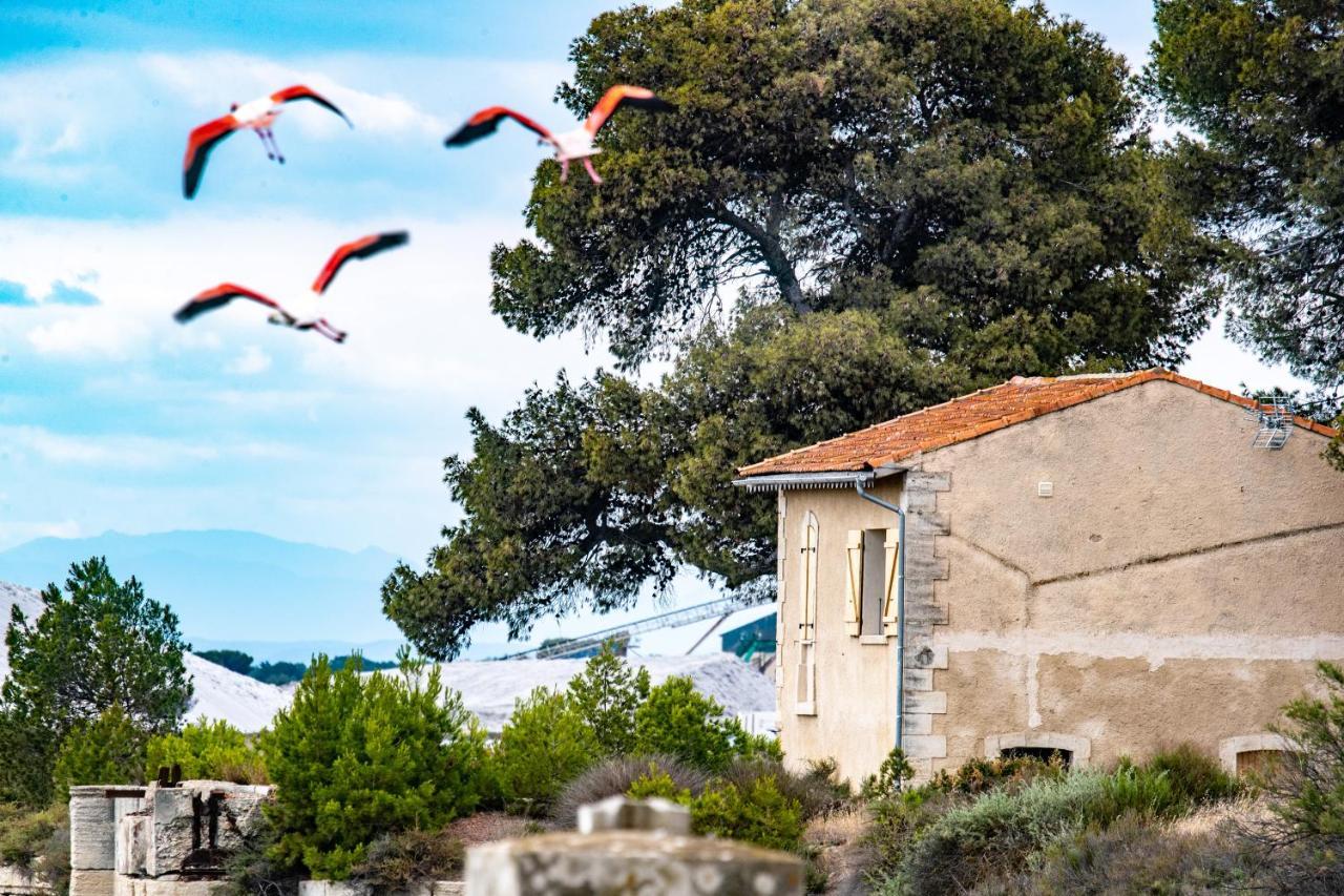 Mas De Colomina Aigues-Mortes Villa Bagian luar foto